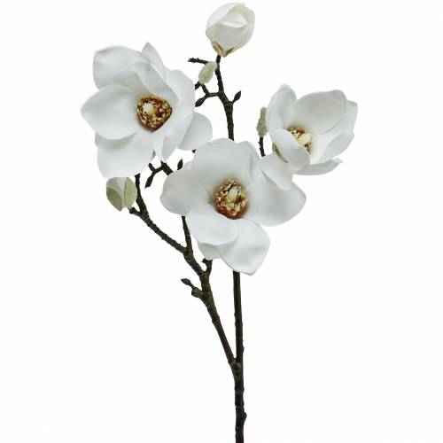 Floristik24 Magnoliatak wit Decoratieve tak magnolia kunstbloem