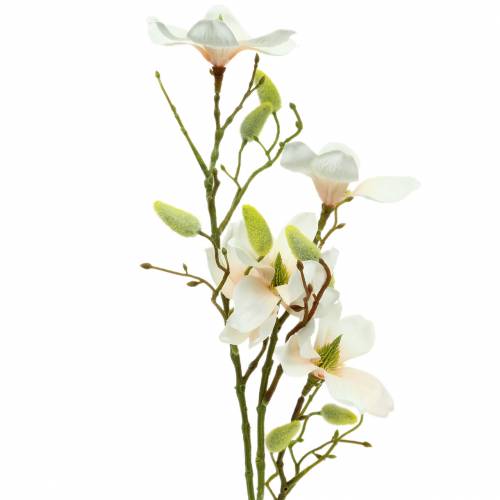 Artikel Magnolia Perzik 85cm