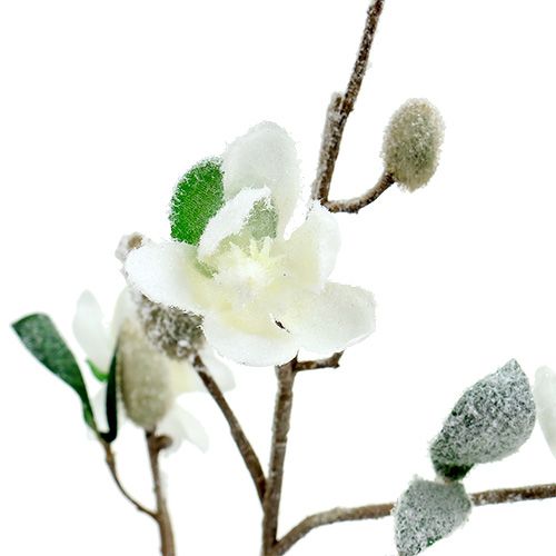 Artikel Magnoliatak wit L 82 cm met sneeuw