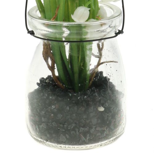 Floristik24 Lelietje-van-dalen in een glas om op te hangen H22cm
