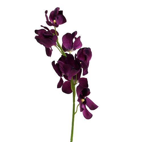 Mokara orchidee paars 50cm kunst 6st