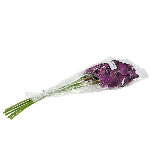 Artikel Mokara orchidee paars 50cm kunst 6st