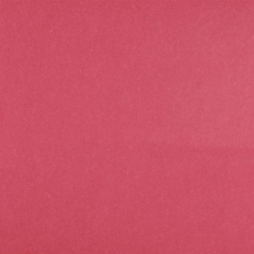 Floristik24 Boeipapier bloempapier vloeipapier roze 25cm 100m