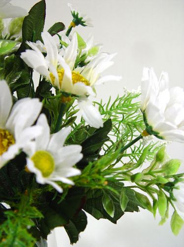 Floristik24 Boeket van madeliefjes klein