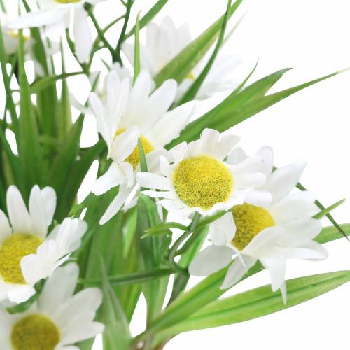 Floristik24 Boeket madeliefjes met siergras 37cm