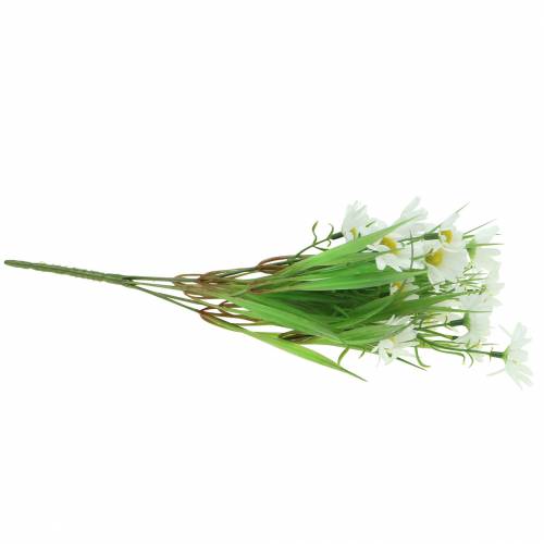 Floristik24 Boeket madeliefjes met siergras 37cm