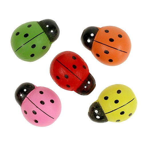 Lieveheersbeestjes kleurrijk 2,5cm 60 stuks