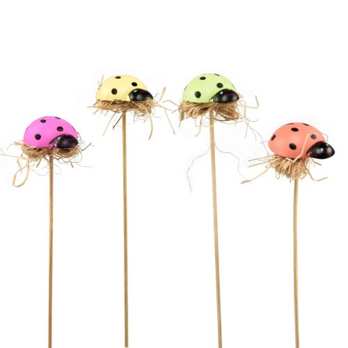 Artikel Lieveheersbeestje decoratieve bloempluggen hout 2,5x3,5x2cm 32st