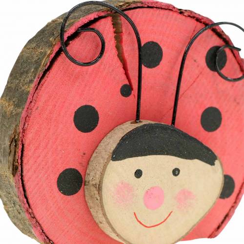 Floristik24 Lieveheersbeestje rood hout Ø7cm 6st