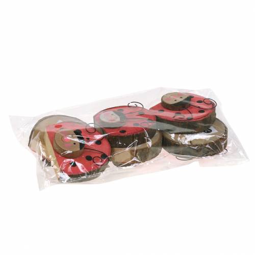 Floristik24 Lieveheersbeestje rood hout Ø7cm 6st