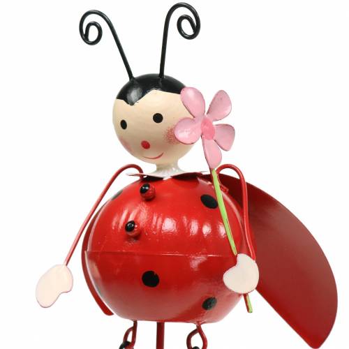 Floristik24 Decoratie plug lieveheersbeestje metaal H35cm 3st