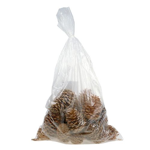 Artikel Maritima kegels crème-vanille gemengd 5-18cm 25 st