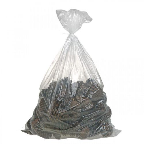 Artikel Maritima kegels, rouwbloemisterij, adventsdecoratie, natuurproduct H12-15cm Ø6,5-10cm 50 stuks