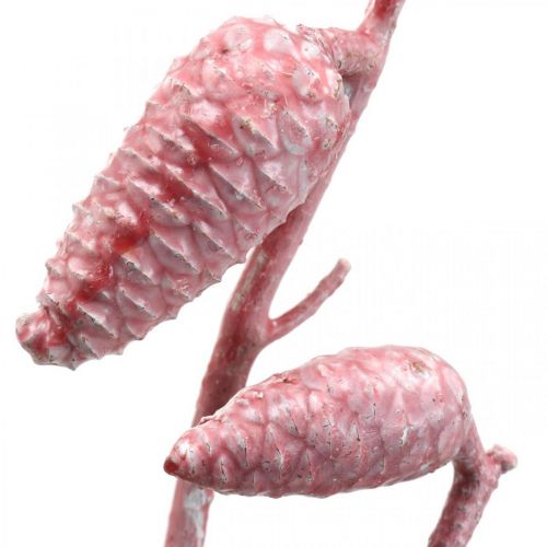 Floristik24 Maritieme kegel op tak roze/wit gewaxt 400g