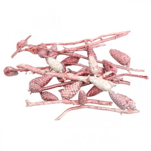 Floristik24 Maritieme kegel op tak roze/wit gewaxt 400g