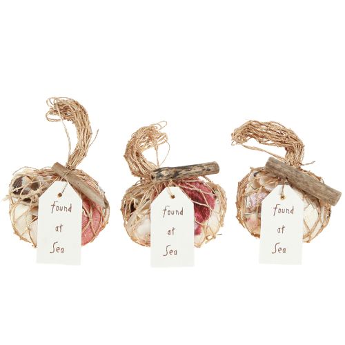 Artikel Maritieme decoratieve schelpen mengen in het net kleurrijk 3,5-6 cm 300 g × 3 stuks