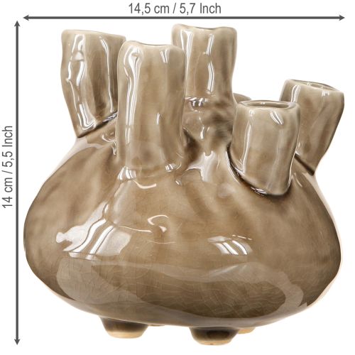 Artikel Maritieme Vaas Decoratie Koraal Design Bruin Ø14.5cm H14cm