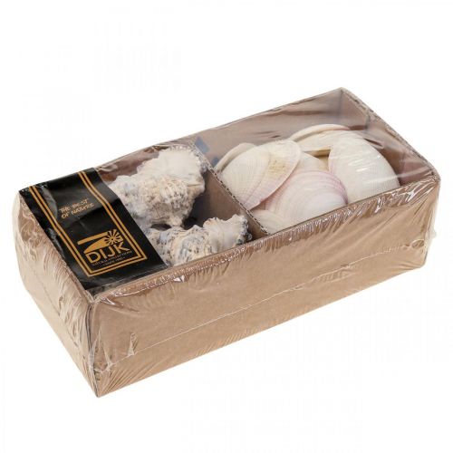 Floristik24 Maritieme Decoratie Schelpen Slakkenhuisjes Streudeko 600g