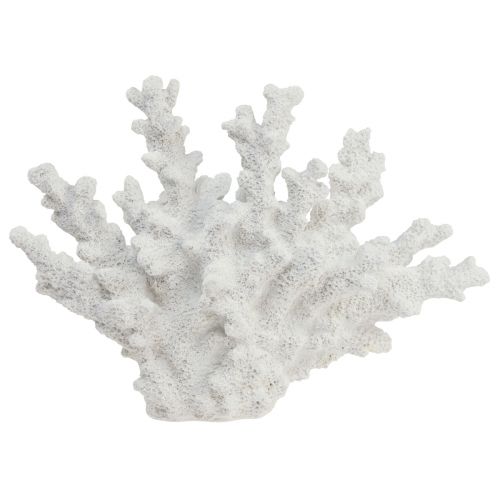 Floristik24 Maritieme decoratie koraal polyresin wit 18,5×26cm