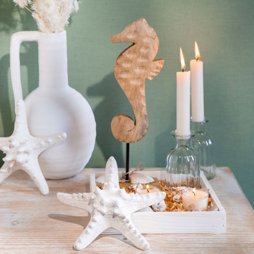 Artikel Maritieme decoratie zeepaardje op standaard naturel mangohout 29,5cm