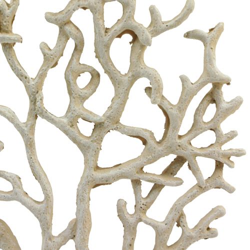 Floristik24 Maritieme tafeldecoratie koraalbeige decoratief koraal polyresin H20cm