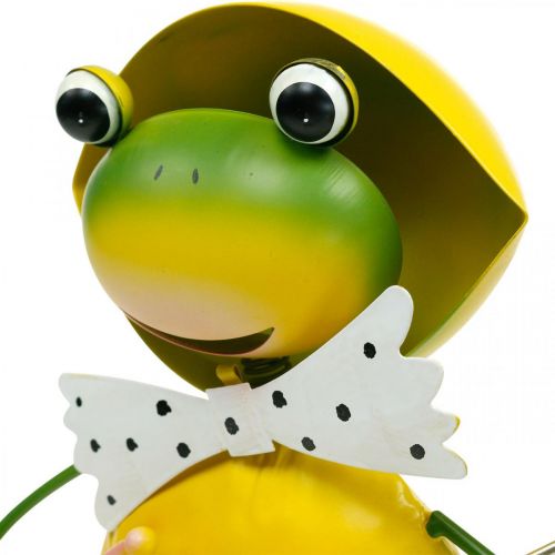 Floristik24 Kikker sierfiguur tuindecoratie regenkikker metaal H35cm