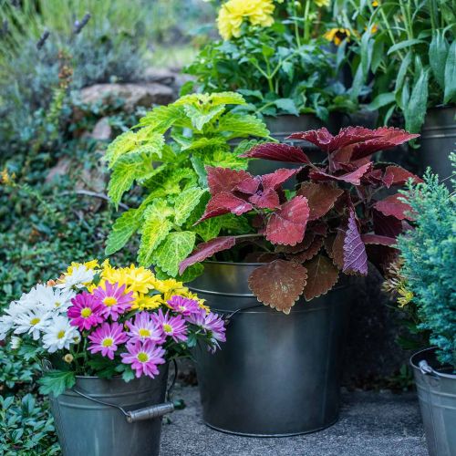 Floristik24 Metalen vat, plantenemmer, metalen decoratie Ø27cm H25cm