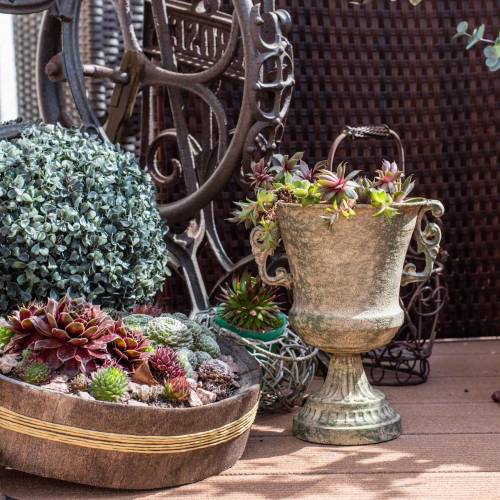 Floristik24 Metalen beker kelk mosgroen beige Ø16cm H24cm