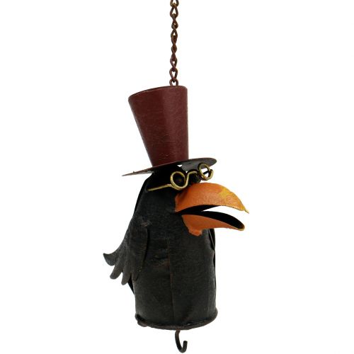 Floristik24 Raaf om op te hangen 18cm