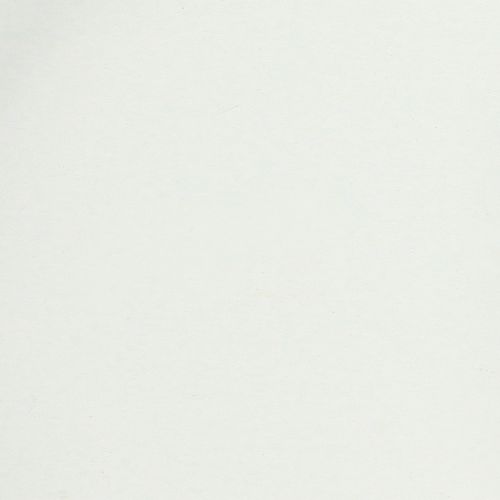 Artikel Dienblad met praktische handgrepen voor veelzijdig gebruik in huis en de horeca, 22 cm