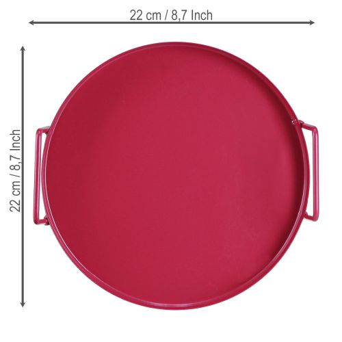 Artikel Veelzijdig dienblad, praktische opbergoplossing voor eetkamer en terras, 22 cm