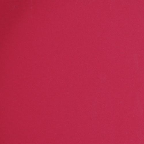 Artikel Veelzijdig dienblad, praktische opbergoplossing voor eetkamer en terras, 22 cm