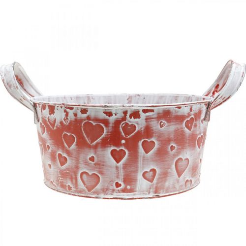 Floristik24 Plantenschaal, Valentijnsdag, metalen schaal met hartdecoratie, plantenpot Ø23cm