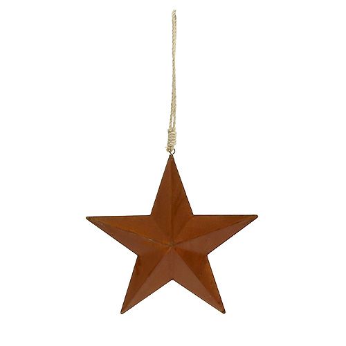 Floristik24 Metalen ster voor hangende roest 21cm