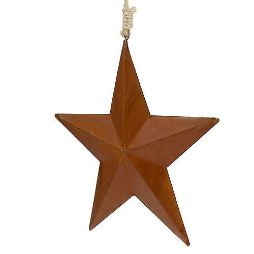 Floristik24 Metalen ster voor hangende roest 21cm