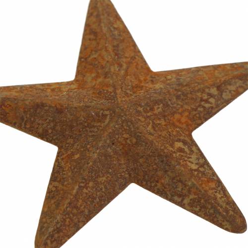 Floristik24 Sterpatina metaal 5cm 24 st
