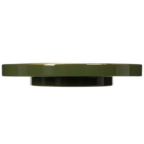 Decoratief dienblad in groen