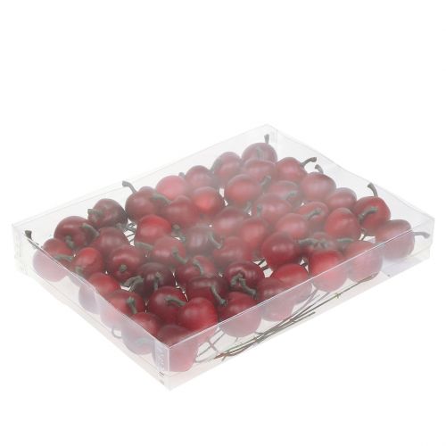 Artikel Mini appel op draad Ø2,5cm 48 st