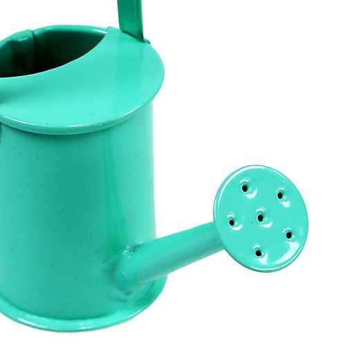 Floristik24 Mini gieters pastel assortiment. Ø4cm 12st