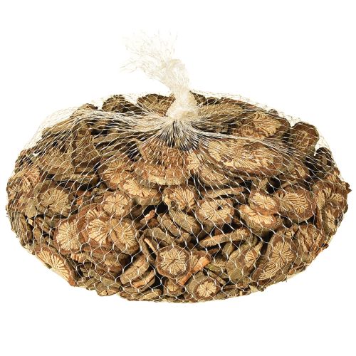 Artikel Mini houten schijfjes betelnootdecoratie met korrel 1-4,5cm 300g