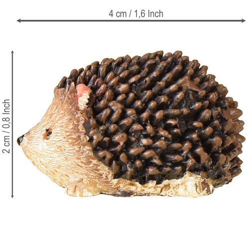Floristik24 Mini egel decoratieve figuren herfst handgeschilderd 4×2,5×2cm 6 stuks