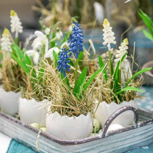 Floristik24 Mini bloempot eierschaal wit Ø8cm H7cm 4st