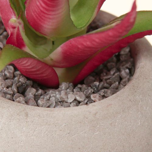 Artikel Mini Vetplanten in Pot Kunstplanten Decoratie Ø6,5cm 6st