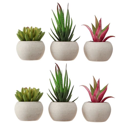 Artikel Mini Vetplanten in Pot Kunstplanten Decoratie Ø6,5cm 6st
