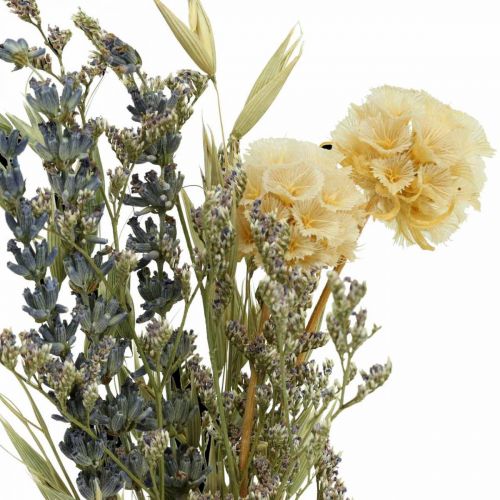 Floristik24 Mini boeket droogbloemen boho, droogbloemen bloemisterij L22cm