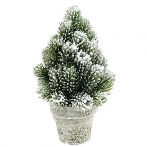 Floristik24 Mini kerstboom in een kunstmatig besneeuwde pot Ø14cm H24cm