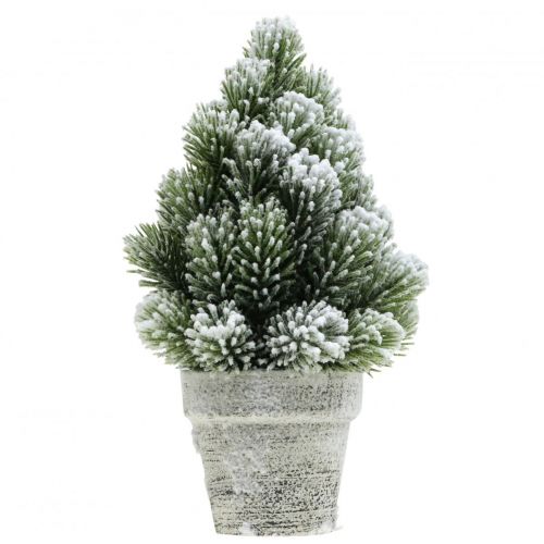 Floristik24 Mini kerstboom in een kunstmatig besneeuwde pot Ø14cm H24cm
