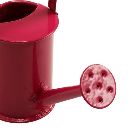 Floristik24 Mini gieters Roze Roze Ø4cm 12st
