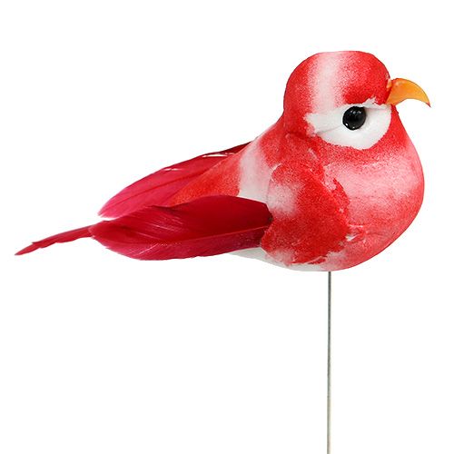 Floristik24 Mini vogel assorti 7cm 12st