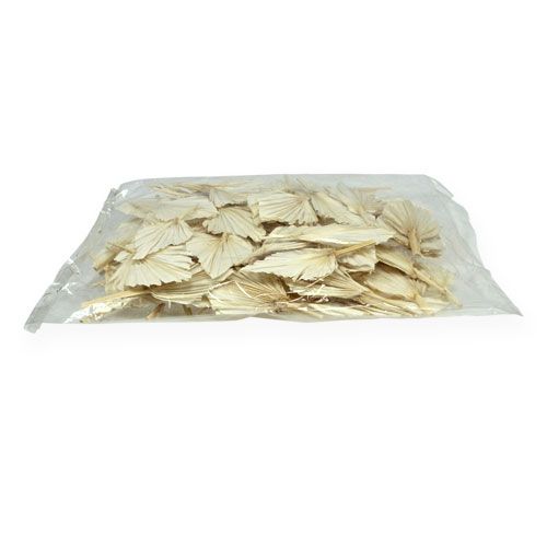 Floristik24 Palmspeer mini kort gebleekt 50 st